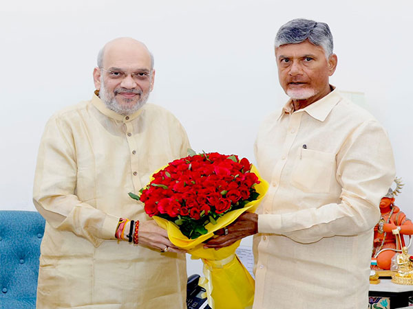 CM Chandrababu Naidu meets Amit Shah in Delhi, notifies him about Andhra's monetary emergency